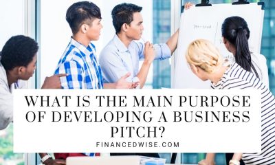 What is the Main Purpose of Developing a Business Pitch