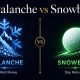Avalanche vs Snowball